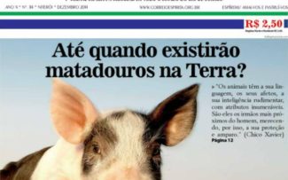 ANIMAIS: QUANDO TEREMOS O FIM DOS MATADOUROS?