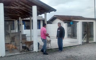 ANIMAIS: FLORIANÓPOLIS