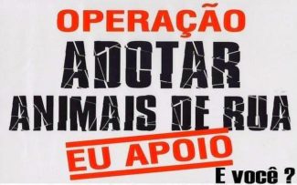 ADOTAR É UM ATO DE AMOR