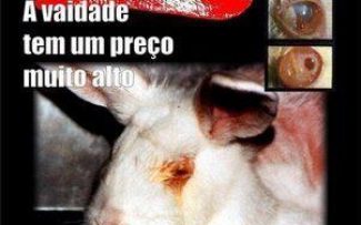 TESTES COM ANIMAIS PARA INDÚSTRIA DE COSMÉTICOS