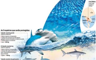 PROTEÇÃO A TUBARÕES E RAIAS