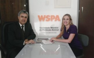 VISITANDO A WSPA