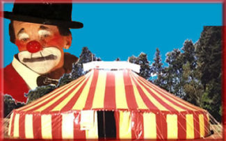 PALHAÇO PODE, ANIMAL NÃO