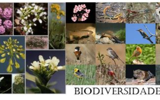 22 DE MAIO – DIA DA BIODIVERSIDADE