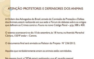 DEBATES SOBRE O FUTURO CÓDIGO PENAL