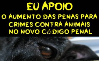 DEBATES SOBRE O CP NA OAB