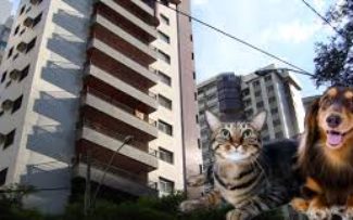 ANIMAIS EM CONDOMÍNIOS