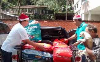 ANIMAIS: NATAL É AMOR