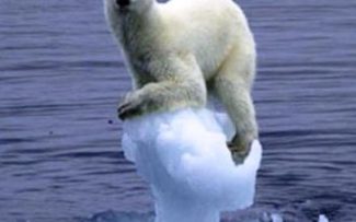 MEIO AMBIENTE: APOSTANDO NA SORTE