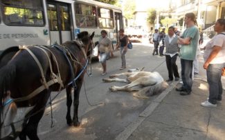 CONDENAÇÃO A CHARRETEIRO EM PETRÓPOLIS