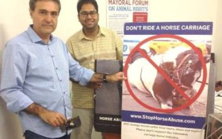 CAVALOS DO CENTRAL PARK – EUA
