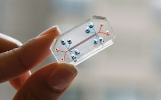 TESTES COM ANIMAIS E CHIPS