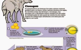 CLONAGEM PARA SALVAR ESPÉCIES