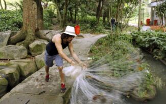 ANIMAIS: INCOMPETÊNCIA PROVOCA MORTES