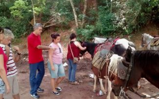 CAVALOS DE MIGUEL PEREIRA