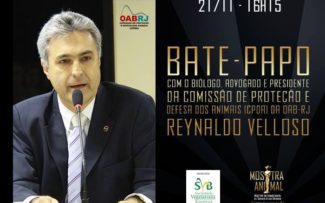 Mostra Internacional de Cinema pelos animais