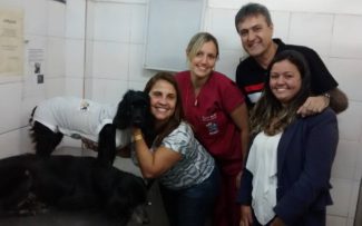 Adoção concretizada