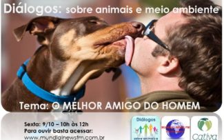 CÃES, ESTES AMIGOS