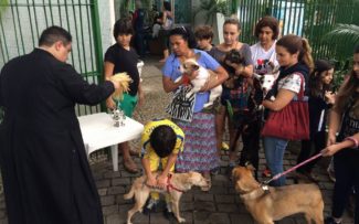 Dia dos Animais e Arquidiocese do RJ