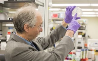 PESQUISAS AVANÇAM SEM ANIMAIS