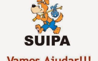 SUIPA: LUTA PELA SOBREVIVÊNCIA