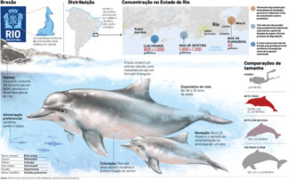 POLUIÇÃO AMEAÇA GOLFINHOS