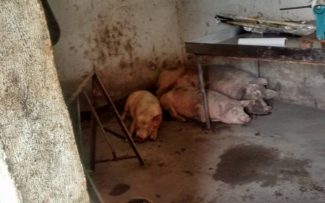 SITIO DA MORTE – parte 3
