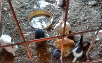 SITIO DA MORTE – parte 4