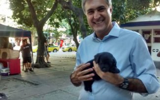 Adoções no Largo do Machado