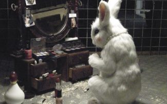 PESQUISAS COM ANIMAIS – SP