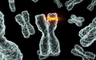 EPIGENÉTICA: ESTUDOS PODEM REABILITAR LAMARCK