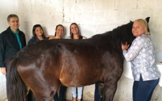 Suipa, Guerreiro e Empezão