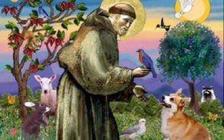 Dia dos animais