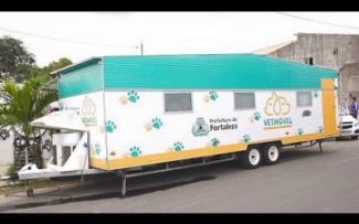 Animais: vitória em fortaleza