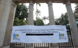 OAB do Rio entra como parte em processo para manter empresa no comando do zoológico