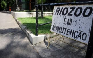 Empresa vai administrar RioZoo, por 20 dias, até prefeitura reassumir