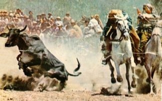 Lei da vaquejada é afronta ao STF”, afirma Reynaldo Velloso