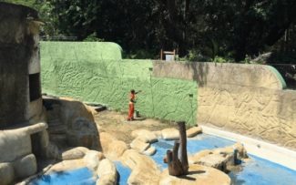 Presidente do TJ-RJ cassa liminar que anulava concessão do Zoológico do Rio