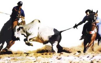 Nova lei da Vaquejada e do Rodeio é um desrespeito à Constituição