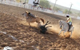 REYNALDO VELLOSO: NOVA LEI DA VAQUEJADA É UMA HUMILHAÇÃO AO SUPREMO
