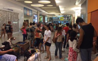Animais: vida não se vende