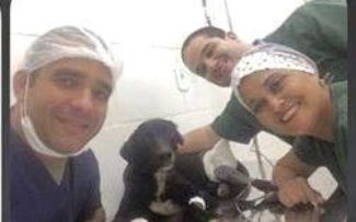 Suipa, sempre Suipa!