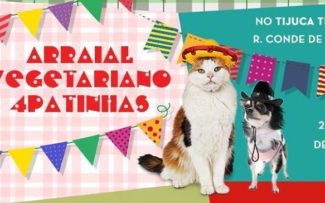 Arraiá da Quatro Patinhas