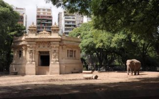Fim do ZOO em Buenos Aires