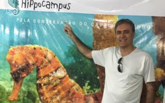 Cavalo Marinho