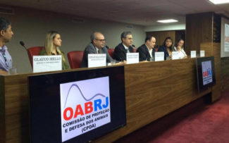 Doença de gato: OAB entrou nessa luta