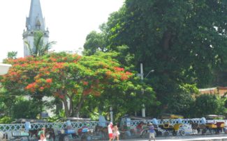 O fim da herança do chicote em Paquetá