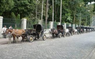 Petrópolis: a luta começa