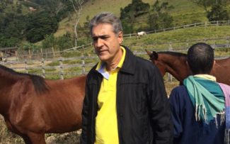 Comissão da OAB anuncia retirada de charretes em Paquetá