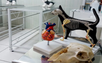 OAB anuncia fim das repressões nas salas de aula